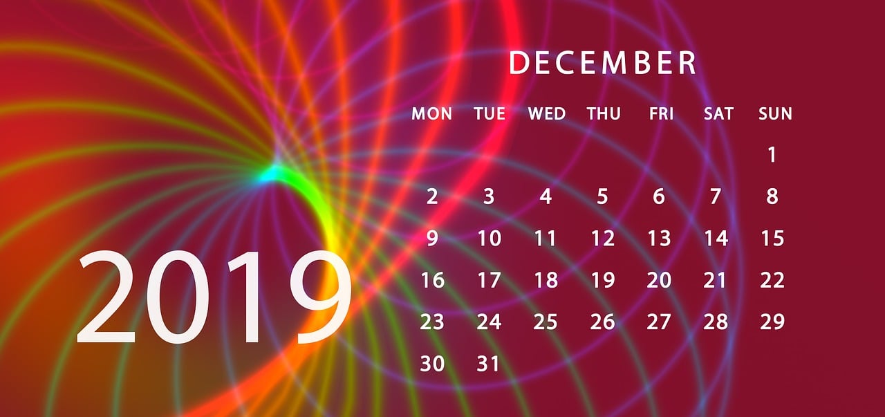 2024年新澳门天天开彩免费资料，效率资料解释落实_app69.13.45