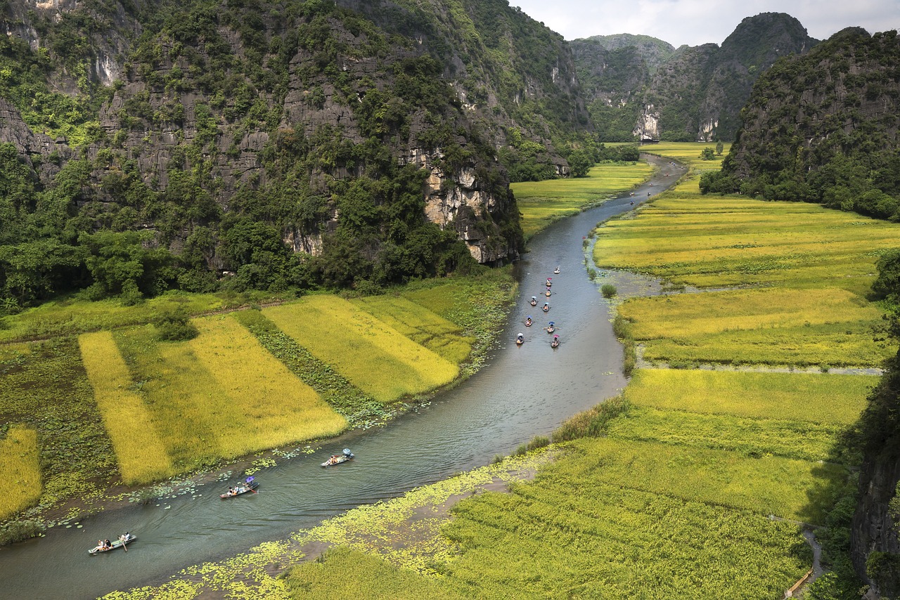 龙马潭区鱼塘店，生态养殖与乡村旅游的和谐融合