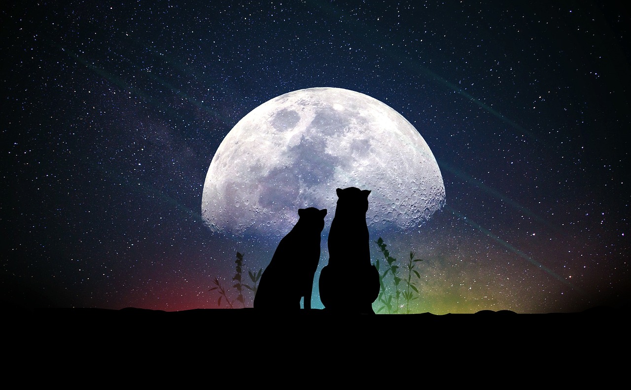 探索宇宙奥秘，星途瑶光之谜揭秘