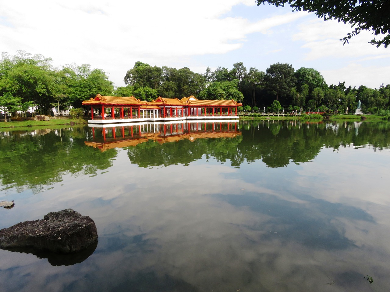 安顺的千年古松——城市之骄傲
